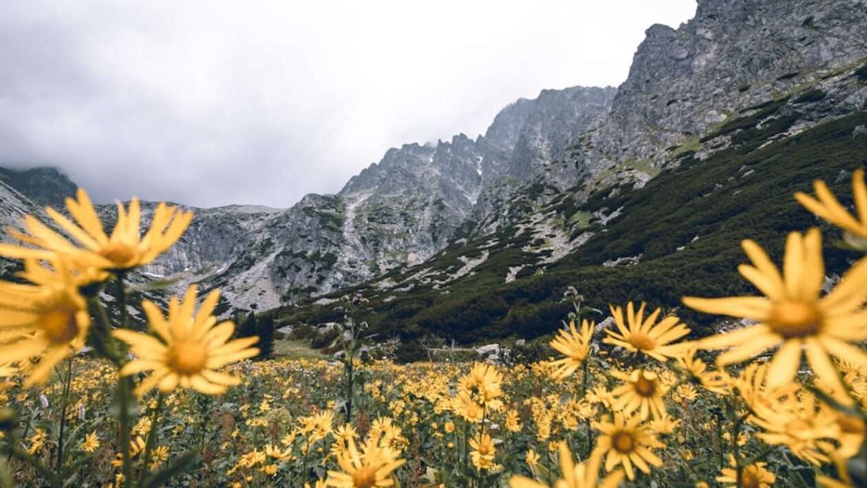 Letná dovolenka na Slovensku: Objevujte krásy vlastnej krajiny