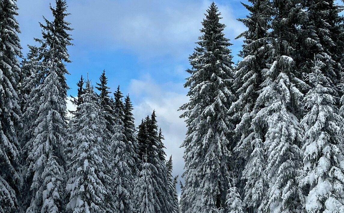 Šumava: Nádherná príroda, jazerá a možnosti turistiky