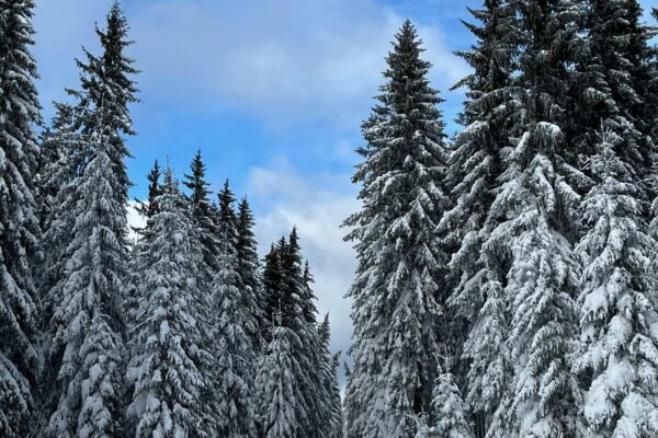 Šumava: Nádherná príroda, jazerá a možnosti turistiky